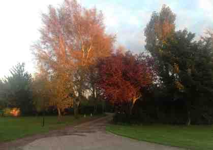 Barrow Haven site cropped