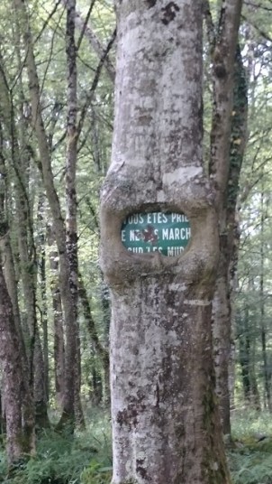 compierre - tree sign